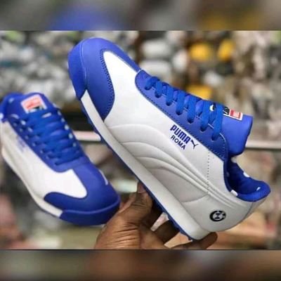 Daniel71602881's profile picture. 