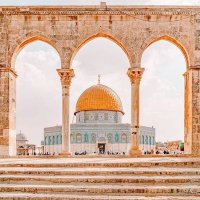 إيمان 🇵🇸 (@eman_4h) 's Twitter Profile