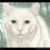 しろじぃー (@kyvswojwptrtthr) 's Twitter Profile