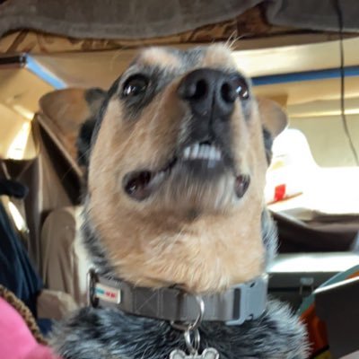 tay_lennn's profile picture. idk man