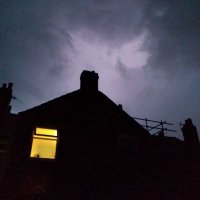 Whiterose (@whiterosehip01) 's Twitter Profile Photo