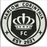 HarlowCorinthia's profile picture. HDFL Prem Cup Winners 23/24 🏆 NWEssex Prem Winners 22/23 🏆 Yabsley Trophy Winners 22/23 🏆 HDFL Division 1 Champions 21/22 🏆 HDFL League Cup Winners 21/22 🏆