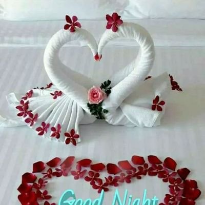 PK56615422's profile picture. be positive