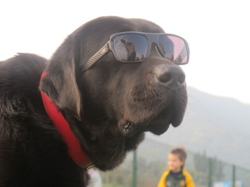 burendao's profile picture. Ingeniero Agrónomo.