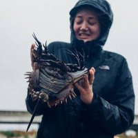 Audrey Carlsen (@audcarls) 's Twitter Profile