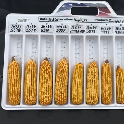AdcockDan's profile picture. Armor Seed National Brand Manager