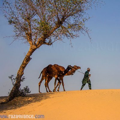 welstar's profile picture. @CNPYNetwork⚙️Nitrograph