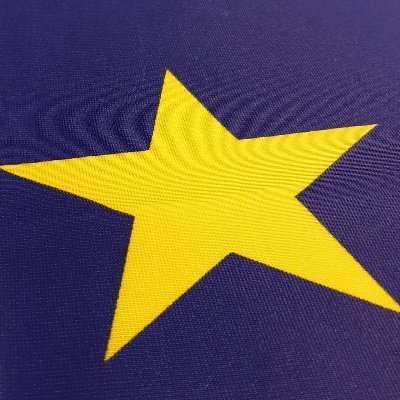 KCNewForest's profile picture. Part of the “anti-growth coalition”. #WATON #FBPE #FBPPR #FBPA #takebackBritain
On the ancient pachyderm too.