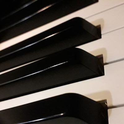 Accade nella musica come nel gioco degli scacchi. La regina-melodia ha il massimo potere, ma il colpo decisivo dipende dal re-armonia. (Florestano)