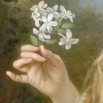 aestheticsさんのプロフィール画像