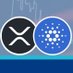 J BR (@xrp__ada) Twitter profile photo J BR (@xrp__ada) Twitter profile photo