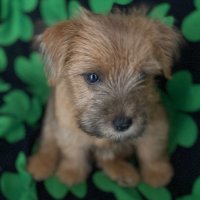 Eileen Phillips (@eileen_p3_) 's Twitter Profile Photo Eileen Phillips (@eileen_p3_) 's Twitter Profile Photo