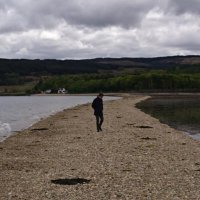 Stuart MacPherson (@stumacpherson7) 's Twitter Profile