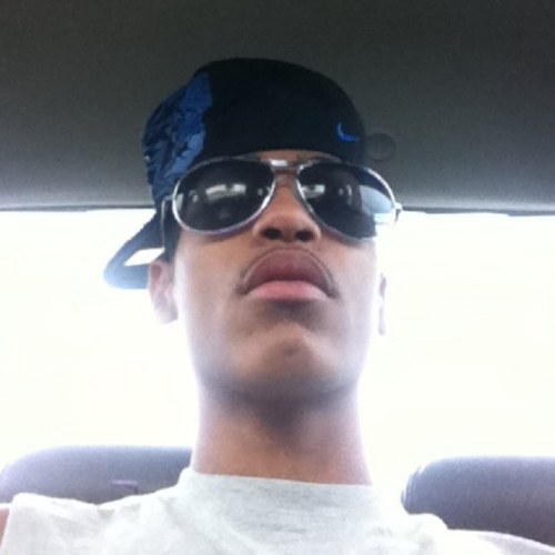 DTDBird's profile picture. 