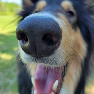 MKlwr's profile picture. Nobody important.
APOBANGPO