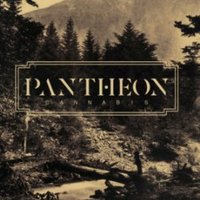 Pantheon Cannabis (@pantheoncanna) 's Twitter Profile