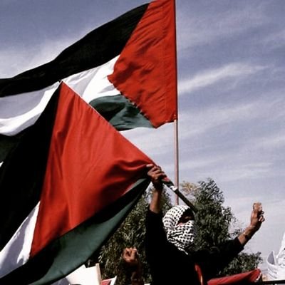 RewanEldeeb14 Profile Picture