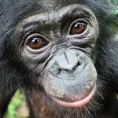 Maaxe8's profile picture. Crazy bioscientist