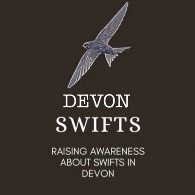 DevonSwifts's profile picture. Raising Awareness about swifts in Devon