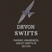 Devon Swifts (@DevonSwifts) Twitter profile photo