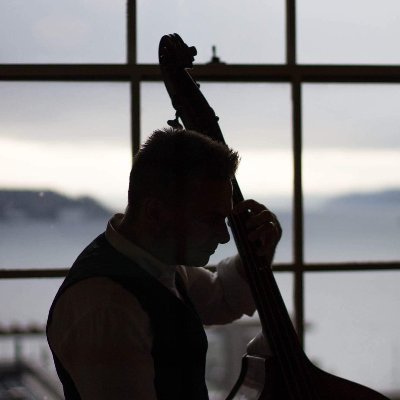 Retired Biomedical Engineer. Bassist. Luthier. Student of Capital Markets.