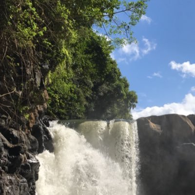 Ra2rO1kNp6JhzYE's profile picture. 