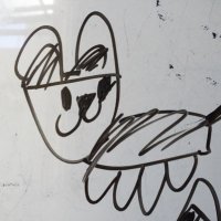 野良wankoro🍉 (@303wankoro) 's Twitter Profile Photo