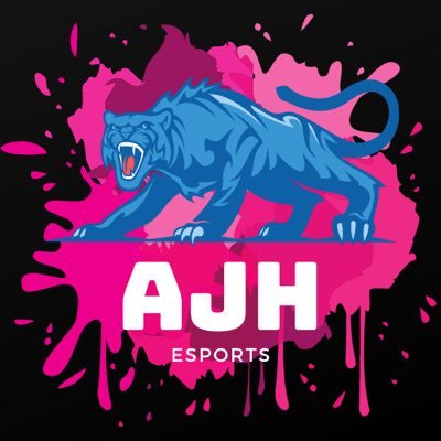 AJHEsports Profile Picture