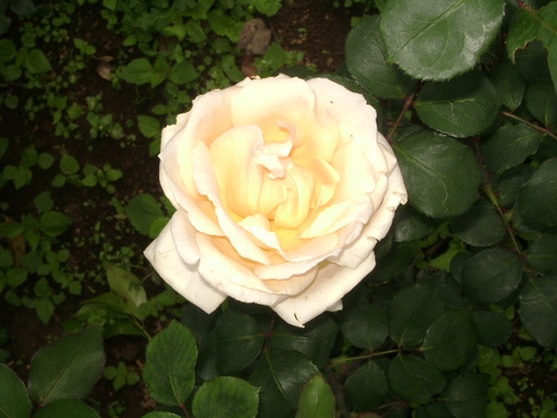 prareetav's profile picture. 