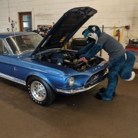 car Foxoxo (@nofoxgarage) 's Twitter Profile