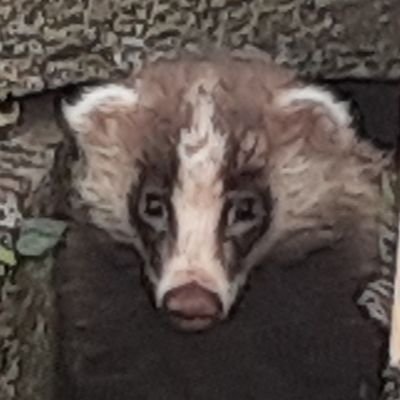 コイチさんのプロフィール画像