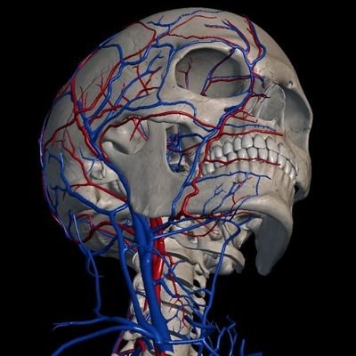 jorco79's profile picture. SOLO ALGUNOS ENTIENDEN LOS ERRORES  DE OTROS AUNQUE A VECES SE MAL ENTIENDAN ...