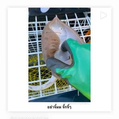 TheTomorrownigh's profile picture. 