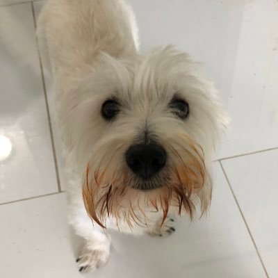 rudeness2222's profile picture. The greatest happiness is to know the source of unhappiness.