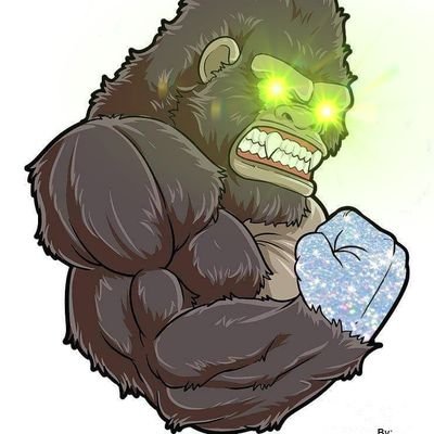 tl505's profile picture. 