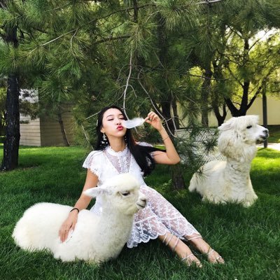 meijia131's profile picture. 適応し、成長し、変化し、優秀になる!