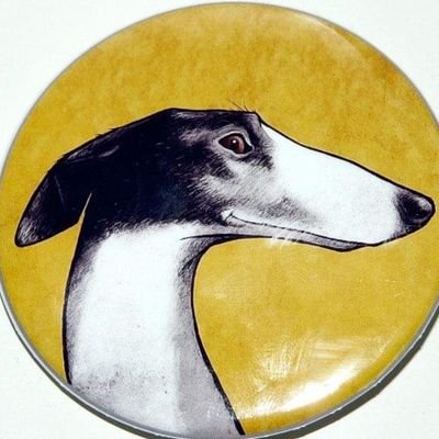 quiltron's profile picture. Disfrutando de esta perra vida