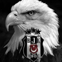 E YT.Ayhan Ozturk(@AyhanOz80483173) 's Twitter Profile Photo