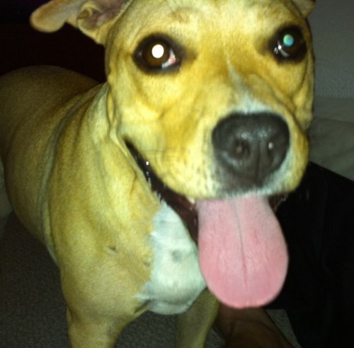 MitchBialosky's profile picture. 