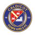 Caldicot Town Girls FC (@CaldicotGirlsFC) Twitter profile photo