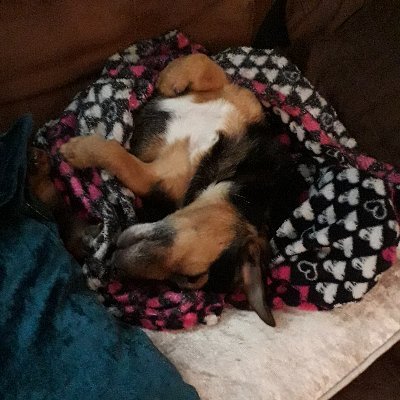 JoanneA56252739's profile picture. Crackers (in a good way)