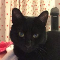 lisa parker (@lisapar12305576) 's Twitter Profile Photo