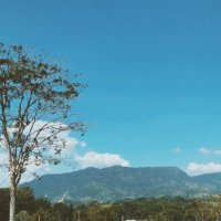 จำเนียน (@cpeye1) 's Twitter Profile