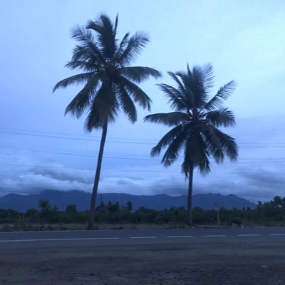 BlOdIaN56's profile picture. Something Anonymous