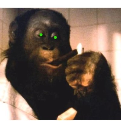 CastorSysop's profile picture. just hodl on, we goin' home - Never forget $8.01