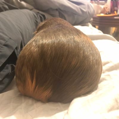秋月モードさんのプロフィール画像