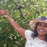 Wajira Galhena (@wgalhena) 's Twitter Profile