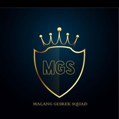 MGS Group Team