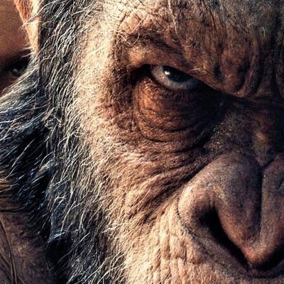 TheMikeyCarr's profile picture. Danger Danger High Voltage