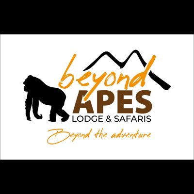 🦍Your ultimate safari partner🦍 #ExploreUganda #UniquelyOurs #VisitUganda #Tourism #Travel #Safari #Adventure 📧 BeyondApes@gmail.com